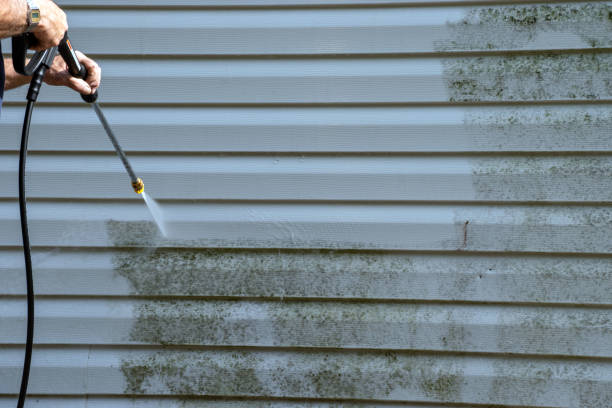 Best Siding Repair  in Rockingham, NC