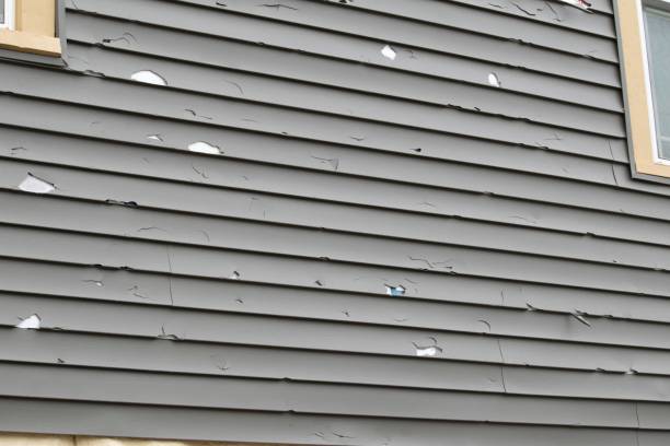 Best Aluminum Siding Installation  in Rockingham, NC