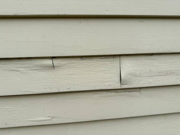 Best Storm Damage Siding Repair  in Rockingham, NC